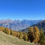 Pet-friendly With Balcony * Nendaz