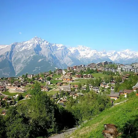 Pet-friendly With Balcony * Nendaz