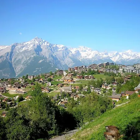 Pet-friendly With Balcony * Nendaz