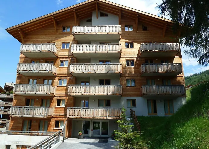 Pet-friendly With Balcony Apartament Nendaz