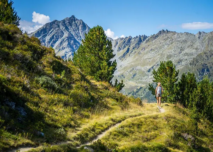 Pet-friendly With Balcony Apartament Nendaz