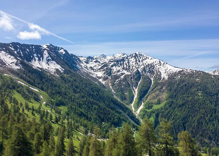 Pet-friendly With Balcony Apartament *