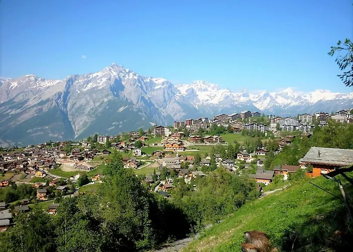 Pet-friendly With Balcony * Nendaz